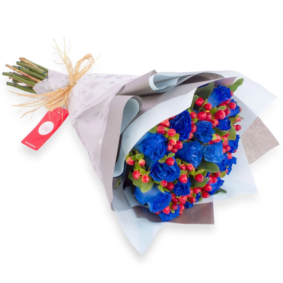 Foto principal Ramo de rosas con Hypericum - Ramo circular con 18 rosas azules e hypericum rojo