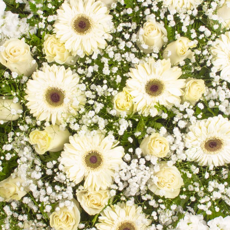Foto 5 Eternidad - Flores a domicilio Foto 5 Eternidad - Flores a domicilio