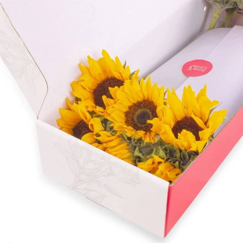 Foto 5 Girasoles FlowerBox - Caja de flores con 12 girasoles