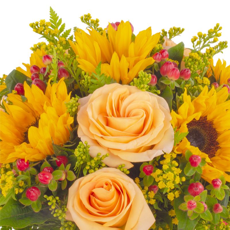 Foto 5 Antonella Damasco Girasol - Flores a domicilio Foto 5 Antonella Damasco Girasol - Flores a domicilio