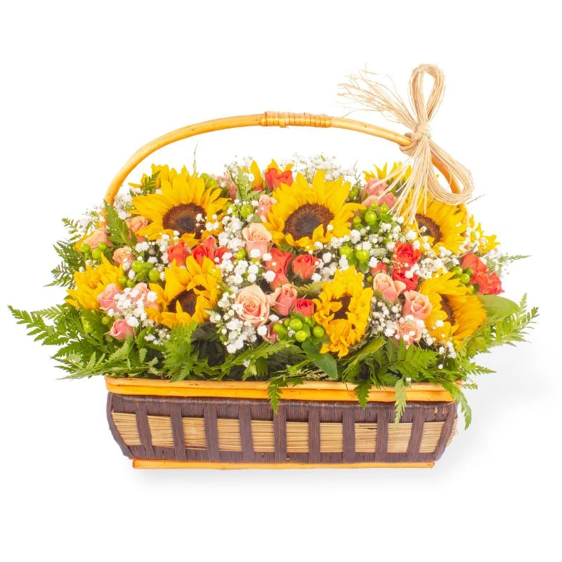 Genoveva - Arreglo floral en canasto de mimbre con girasoles, minirosas, gypsophila e hypericum