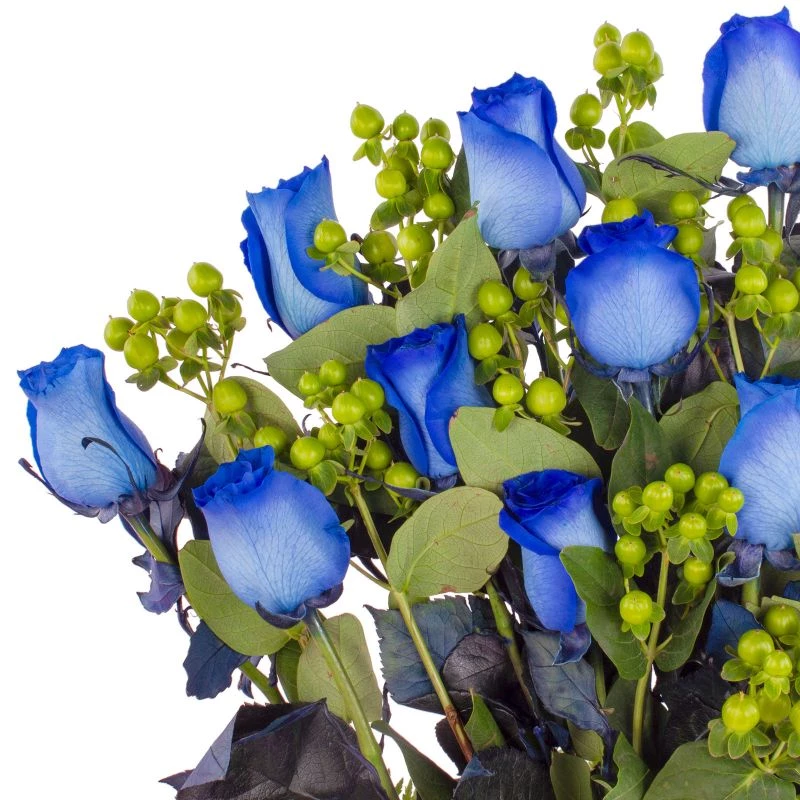 Foto 5 Jardín de Rosas Azules - Arreglo floral con 16 rosas azules e hypericum verde