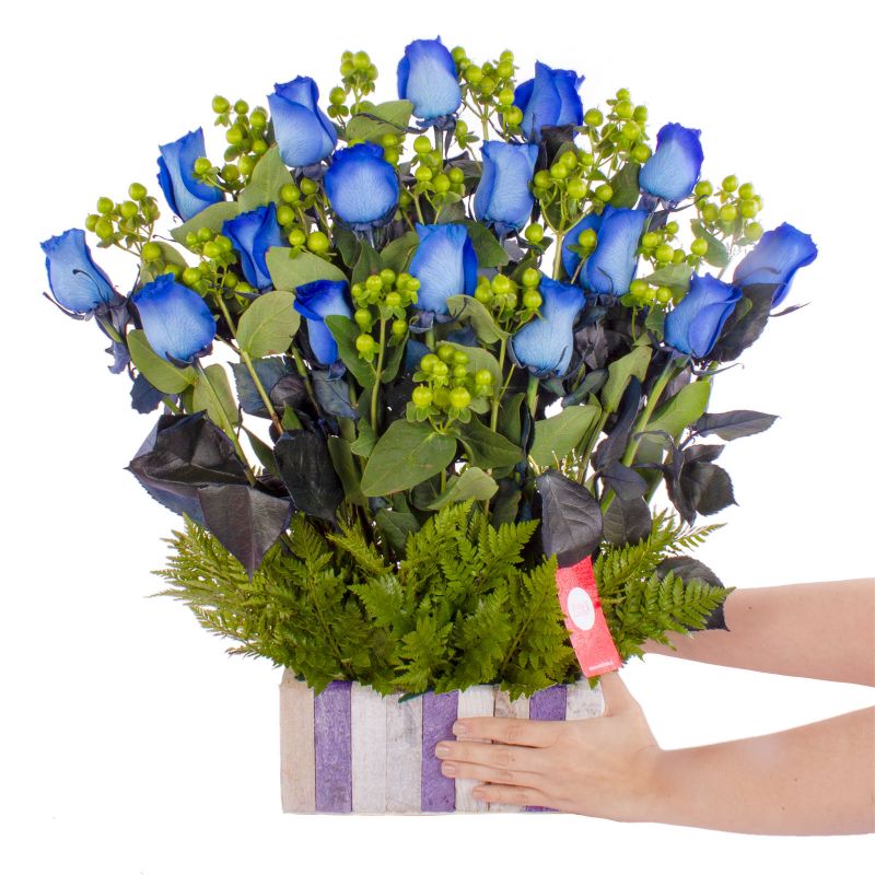 Foto con persona Jardín de Rosas Azules - Flores a domicilio Foto con persona Jardín de Rosas Azules - Flores a domicilio