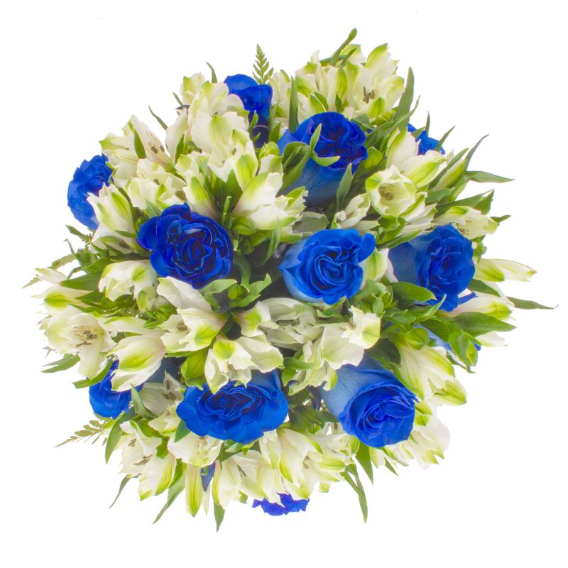 Foto 4 Julieta Azul - Flores a domicilio Foto 4 Julieta Azul - Flores a domicilio