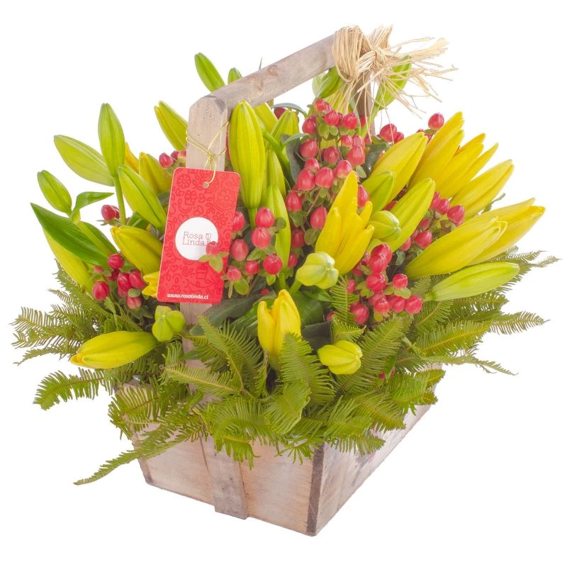 Foto 4 Gabriela Amarillo - Arreglo floral en canasto de madera con liliums amarillos e hypericum