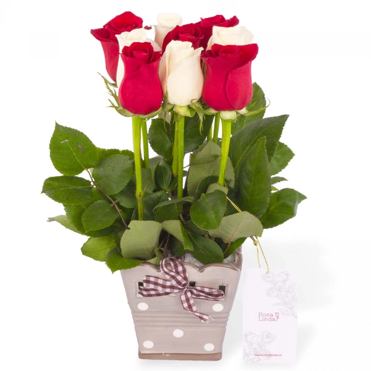 Foto principal Tomasito Mix Blanco/Rojo - Arreglo floral con 9 rosas ecuatorianas mix de rojas y blancas