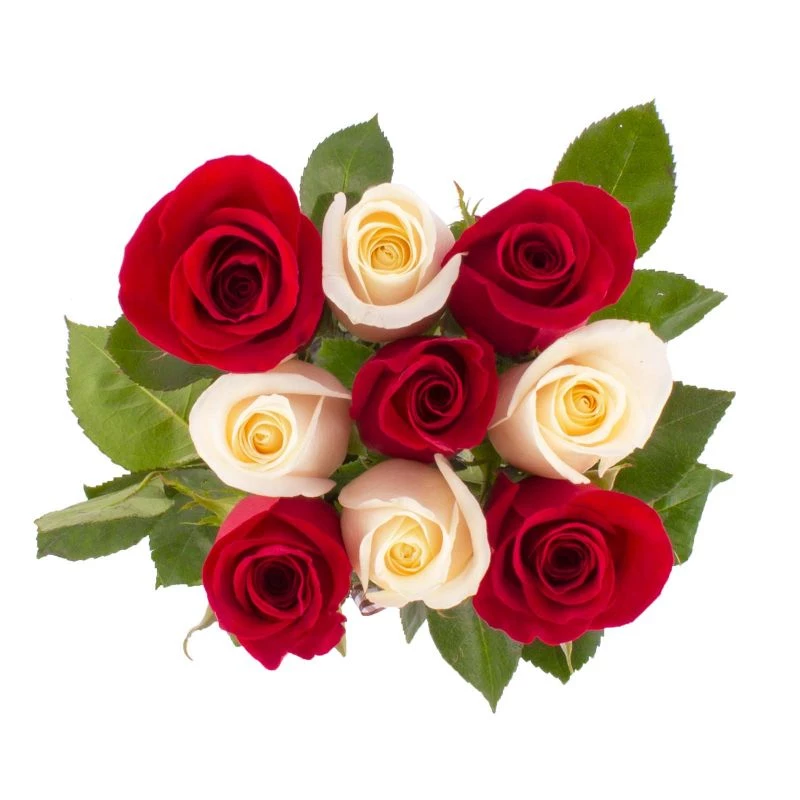 Foto 4 Tomasito Mix Blanco/Rojo - Arreglo floral con 9 rosas ecuatorianas mix de rojas y blancas