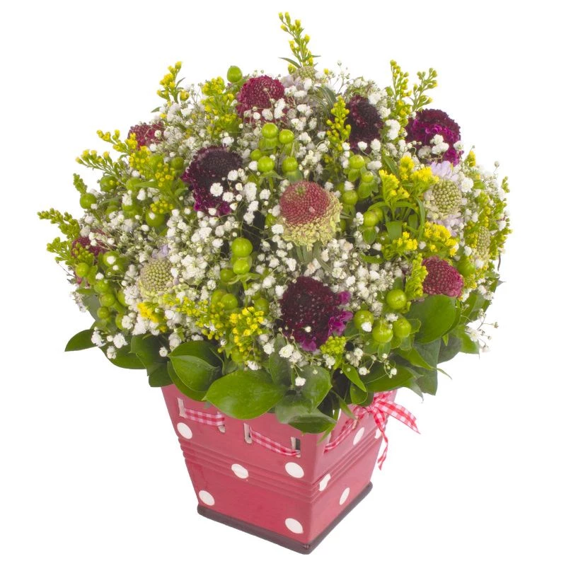 Foto 3 Virgo - Arreglo floral con escabiosas, hypericum verde, gypsophilas y solidago amarillo