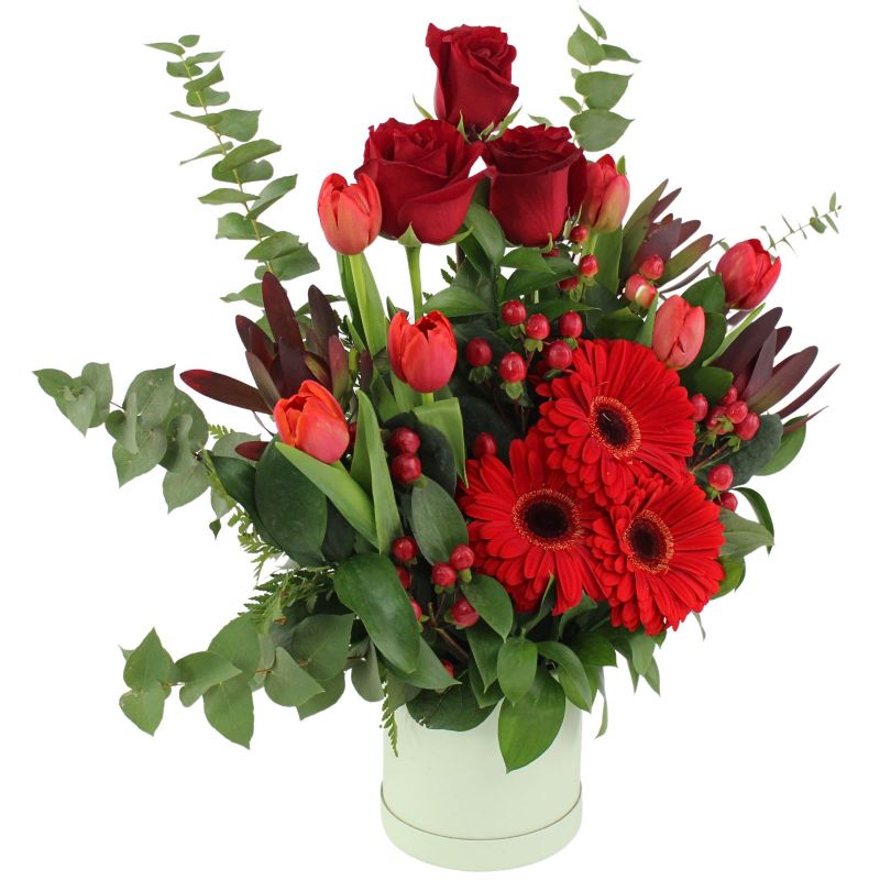 Foto 5 Altair Rojo en sombrerero - Flores a domicilio Foto 5 Altair Rojo en sombrerero - Flores a domicilio