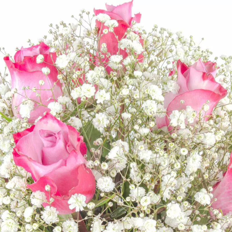 Foto 5 María Rosas Lila en cerámica - Arreglo floral con 18 rosas lila y gypsophila