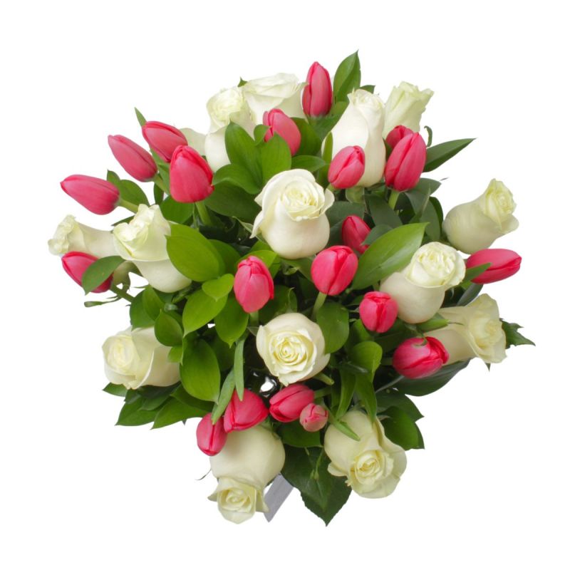 Foto 4 Dominga Fucsia Blanco - Flores a domicilio Foto 4 Dominga Fucsia Blanco - Flores a domicilio