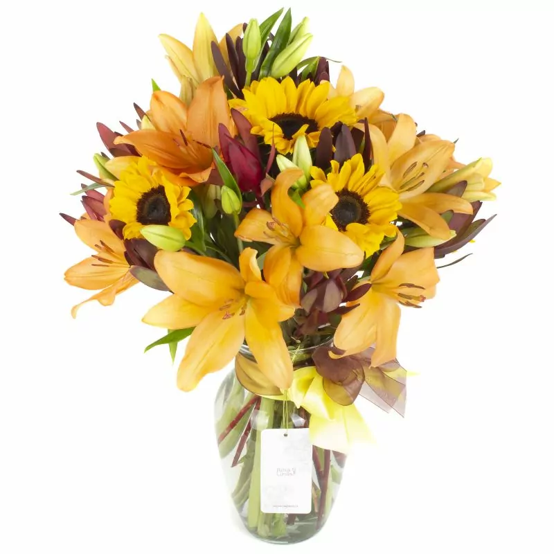 Foto 4 Saludo al sol naranjo - Ánfora con liliums naranjas, girasoles y leucadendros