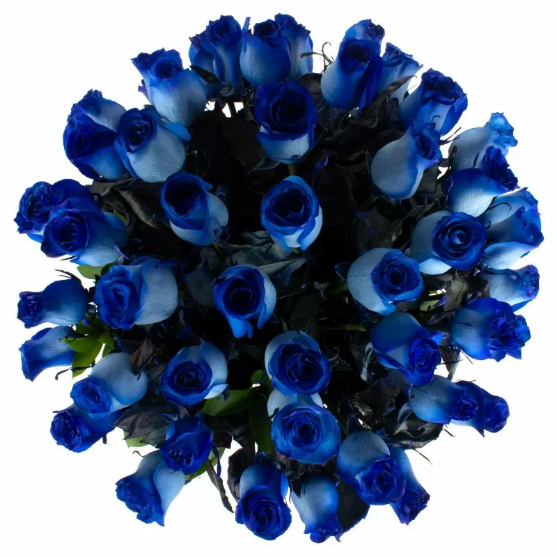 Foto 4 Carolina - Arreglo floral con 50 rosas azules