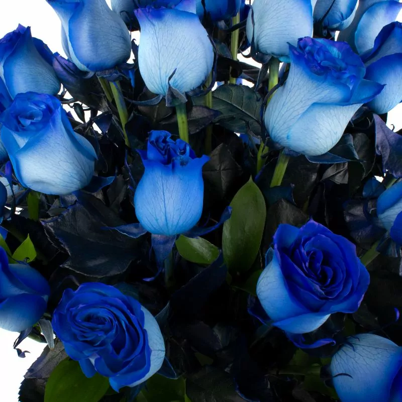 Foto 5 Carolina - Arreglo floral con 50 rosas azules