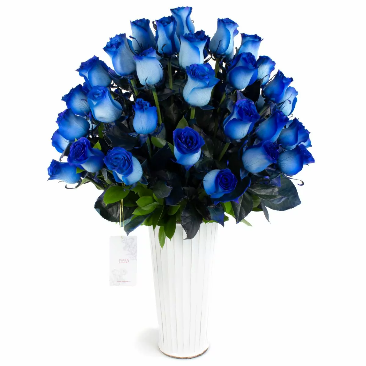 Foto principal Carolina - Arreglo floral con 50 rosas azules