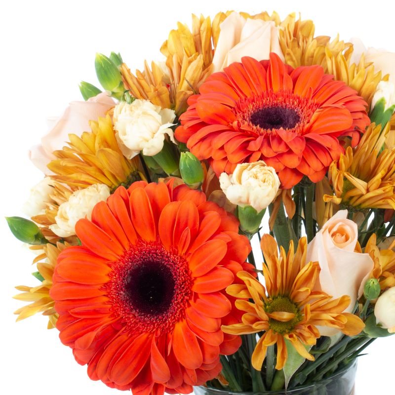 Foto 5 Brisa de otoño naranjo amarillo - Flores a domicilio Foto 5 Brisa de otoño naranjo amarillo - Flores a domicilio