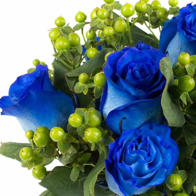 Foto 5 Pequeña Antonia Azul - Florero transparente con 9 rosas e hypericum