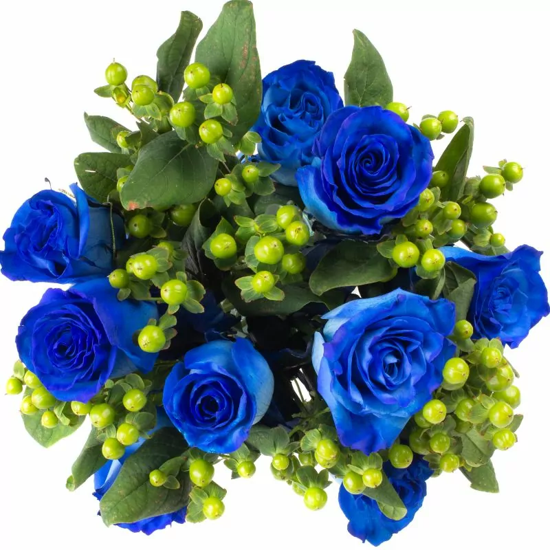 Foto 4 Pequeña Antonia Azul - Florero transparente con 9 rosas e hypericum