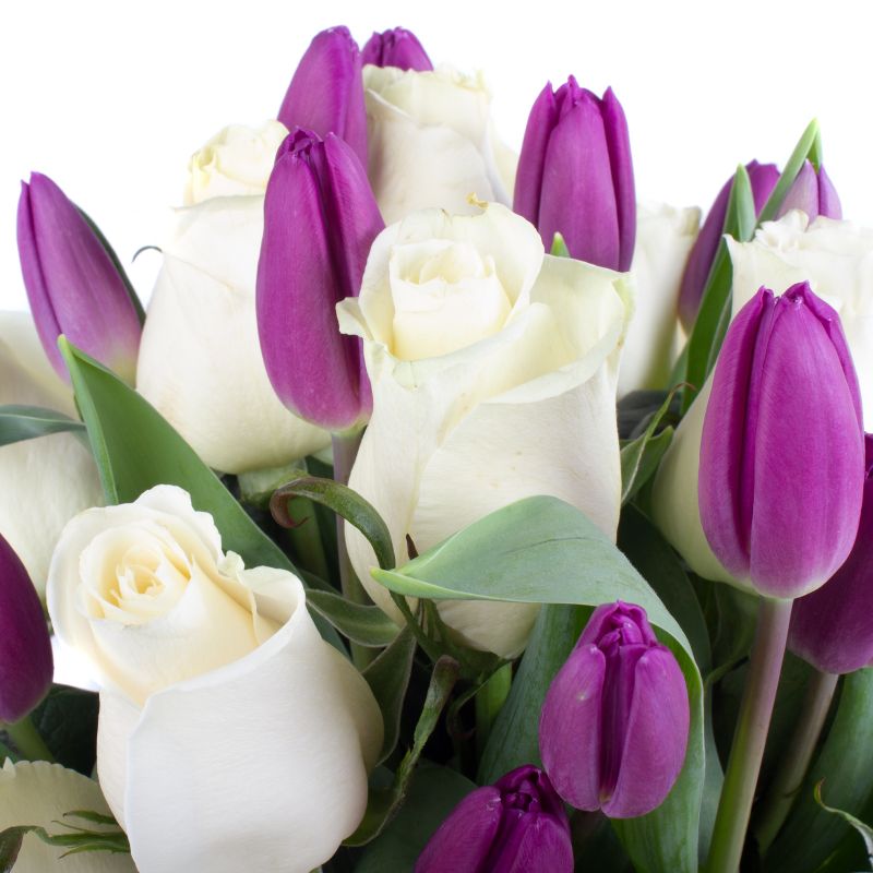 Foto 5 Elena Blanco Morado - Flores a domicilio Foto 5 Elena Blanco Morado - Flores a domicilio