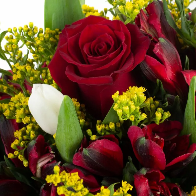 Foto 5 Besos de Dalí Rojo - Florero gris con tulipanes, astromelias y rosas