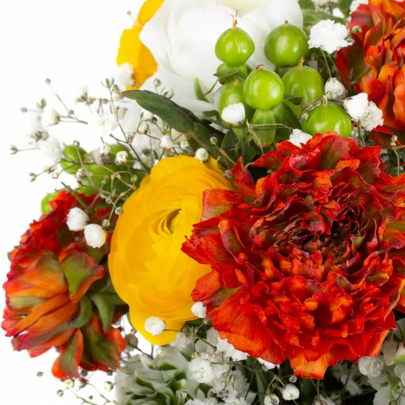 Foto 5 Artemisa - Florero transparente con ranúnculos, hypericum verde y gypso