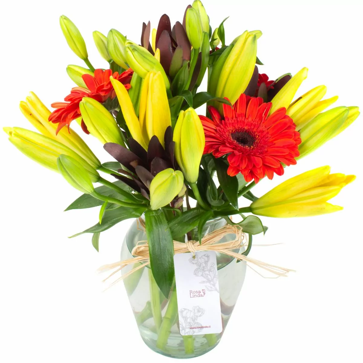 Foto principal Daisy Rojo Amarillo - Florero transparente con liliums amarillos, gerberas naranja y leucadendros