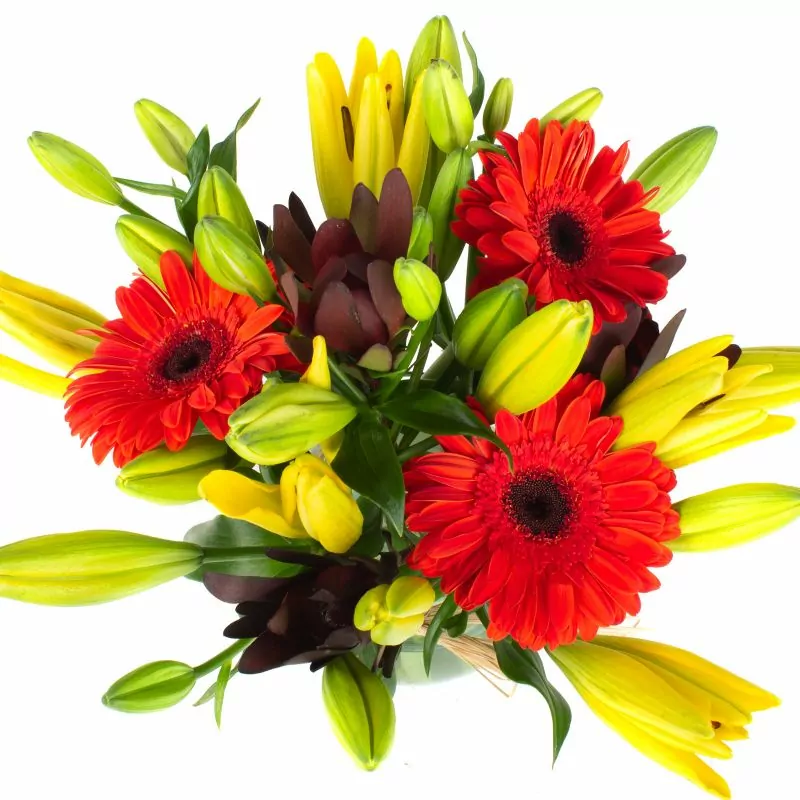 Foto 3 Daisy Rojo Amarillo - Florero transparente con liliums amarillos, gerberas naranja y leucadendros