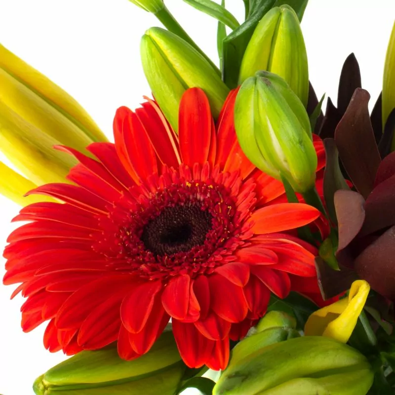 Foto 5 Daisy Rojo Amarillo - Florero transparente con liliums amarillos, gerberas naranja y leucadendros