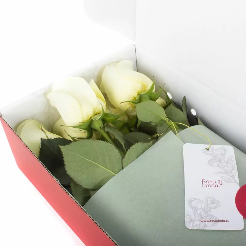 12 Rosas Blancas Flowerbox - Caja de flores con 12 rosas ecuatorianas blancas