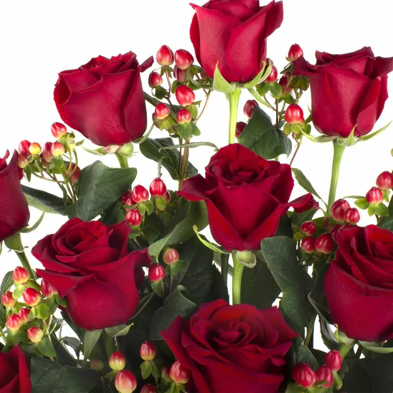 Foto 5 Jardín de Rosas Rojas - Arreglo floral con 15 rosas rojas e hypericum
