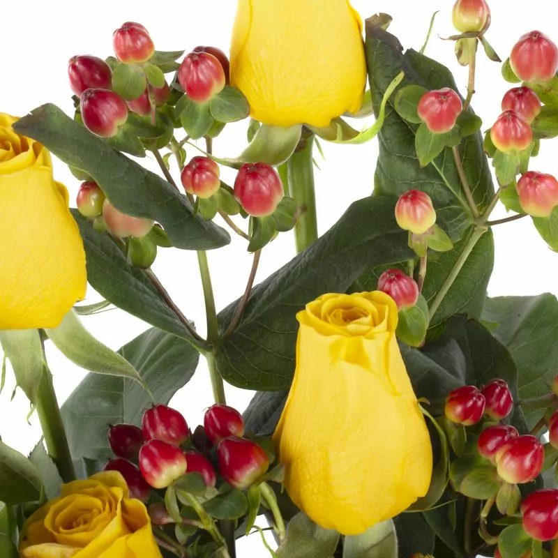 Foto 5 Jardín de Rosas Amarillo - Arreglo floral con 15 rosas amarillas e hypericum
