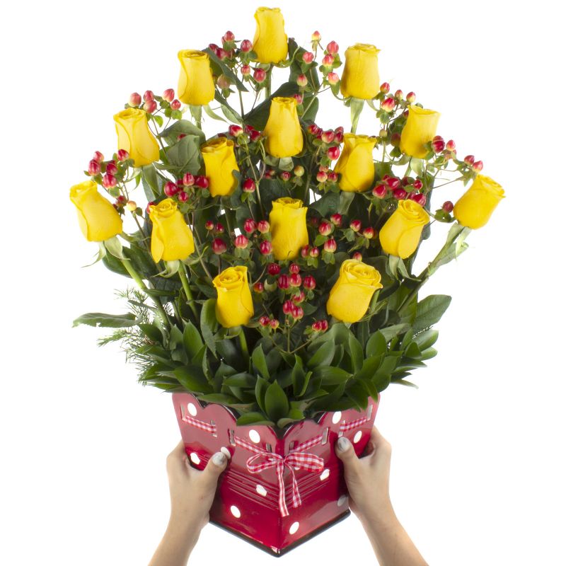 Foto con persona Jardín de Rosas Amarillo - Flores a domicilio Foto con persona Jardín de Rosas Amarillo - Flores a domicilio