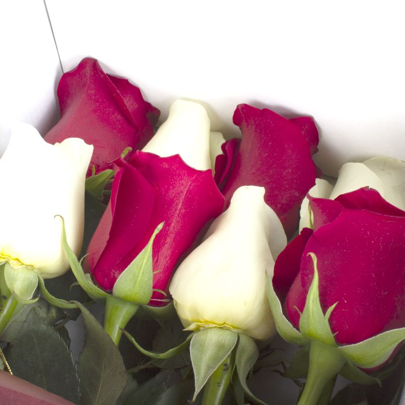 Flores a domicilio - Pack FlowerBox Rosalinda Flores a domicilio - Pack FlowerBox Rosalinda