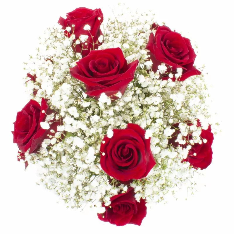 Foto 2 Pequeña Maria Rosas Rojas - Florero con 10 rosas ecuatorianas rojas y gypsophilia