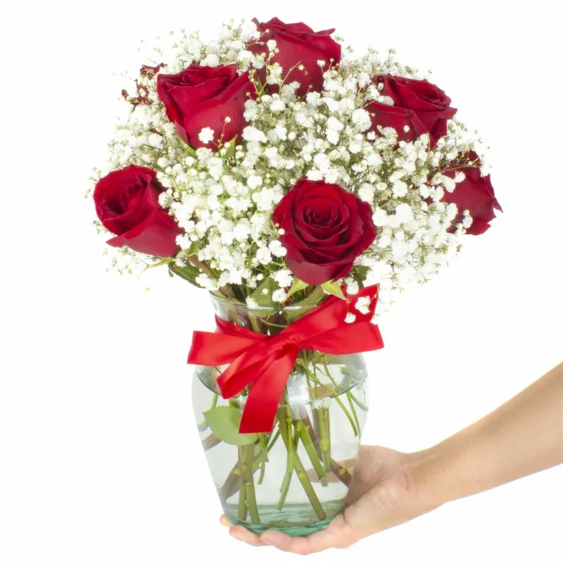 Foto 3 Pequeña Maria Rosas Rojas - Florero con 10 rosas ecuatorianas rojas y gypsophilia