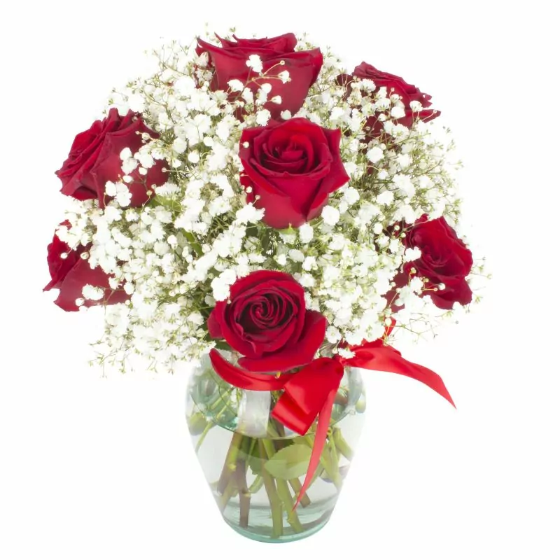 Foto 4 Pequeña Maria Rosas Rojas - Florero con 10 rosas ecuatorianas rojas y gypsophilia