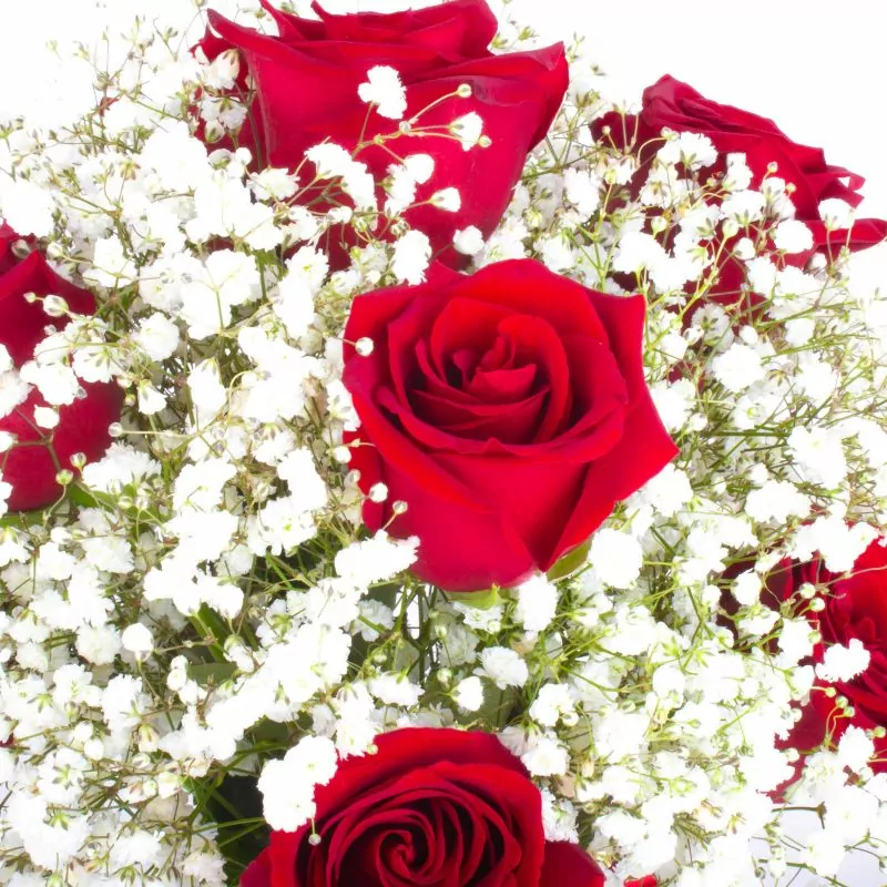 Foto 5 Pequeña Maria Rosas Rojas - Florero con 10 rosas ecuatorianas rojas y gypsophilia