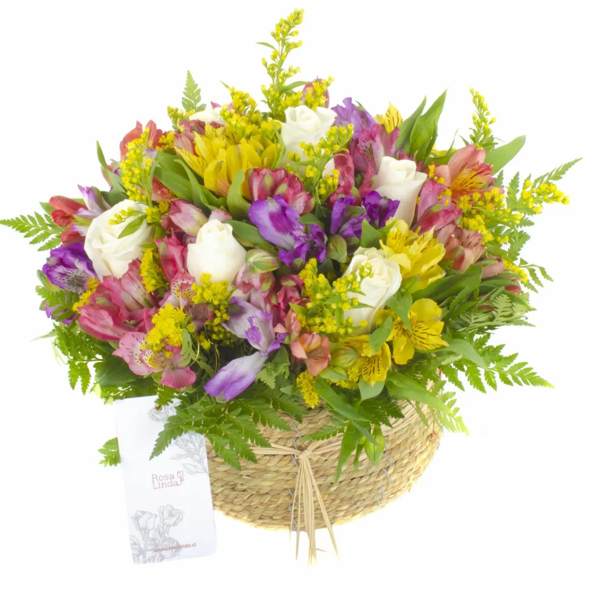 Foto principal Ángel Blanco en canasto - Arreglo floral con rosas ecuatorianas blancas, solidago y astromelias de colores