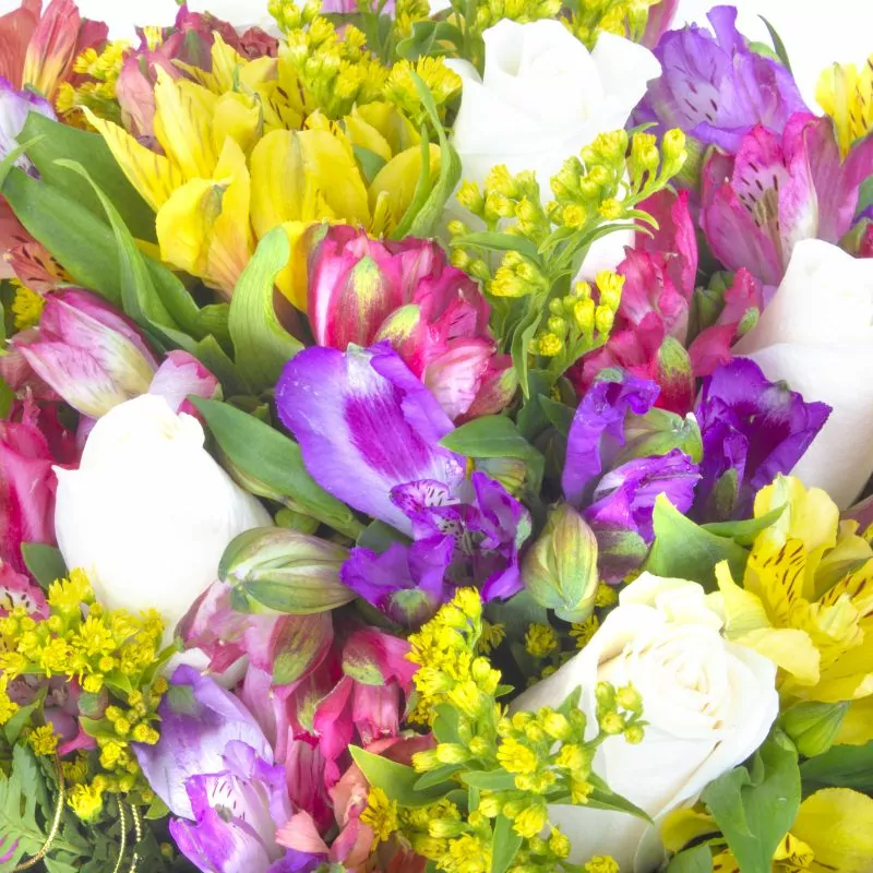 Foto 5 Ángel Blanco en canasto - Arreglo floral con rosas ecuatorianas blancas, solidago y astromelias de colores