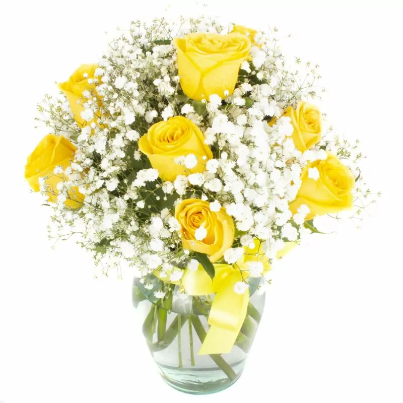 Pequeña Maria Rosas Amarillas - Florero con 10 rosas ecuatorianas amarillas y gypsophilia