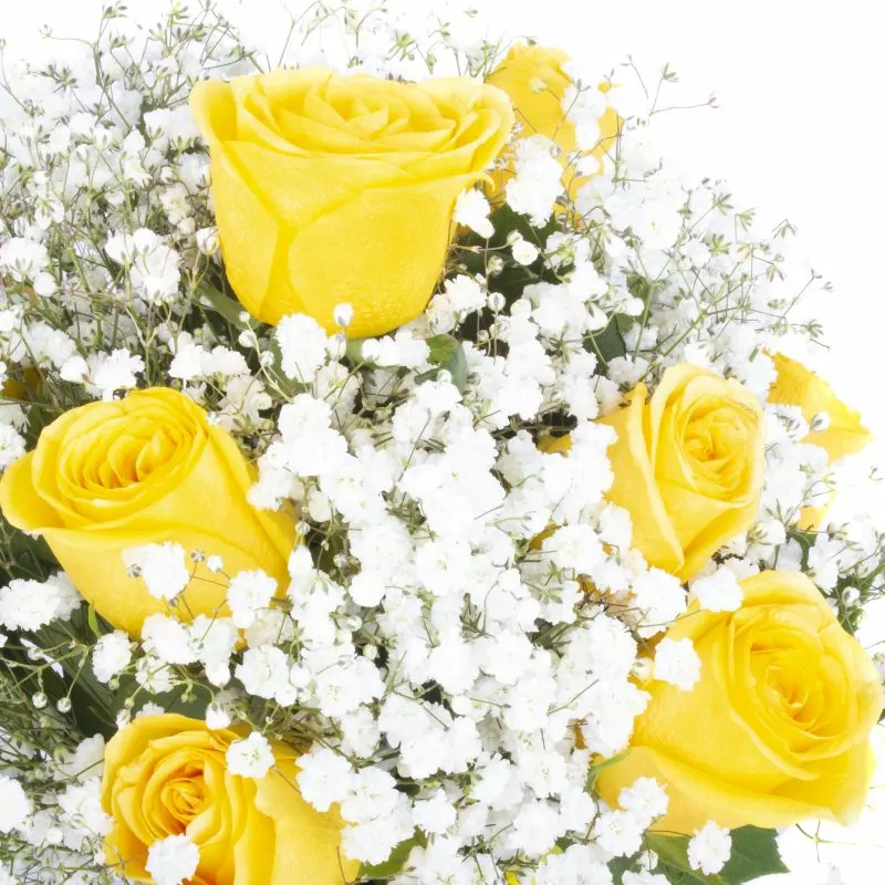 Foto 4 Pequeña Maria Rosas Amarillas - Florero con 10 rosas ecuatorianas amarillas y gypsophilia