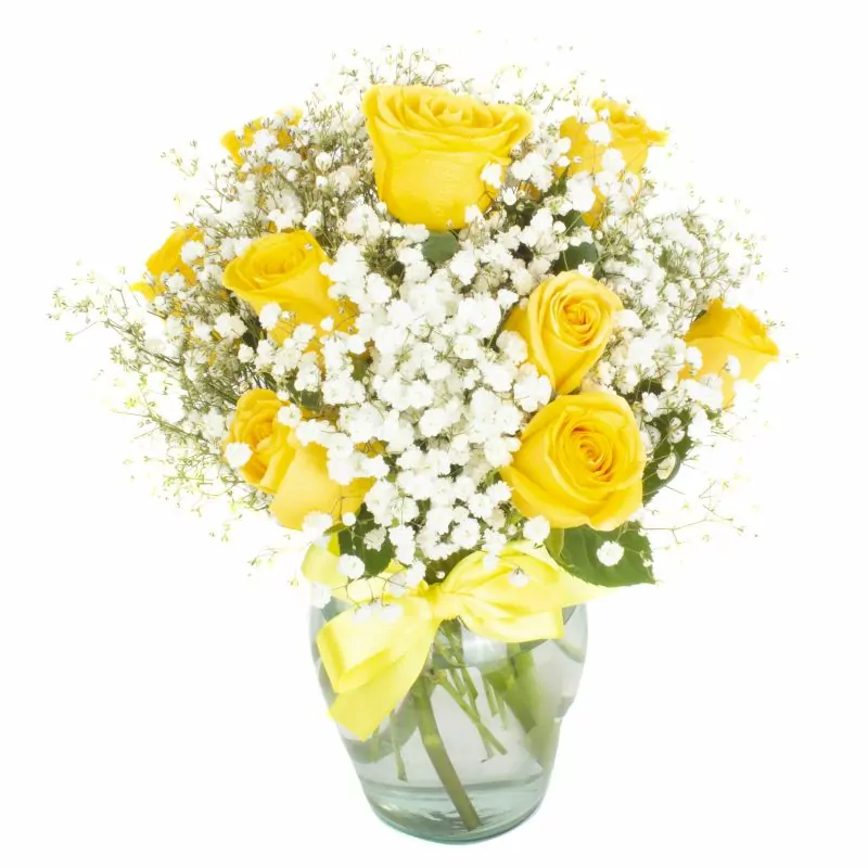 Foto 5 Pequeña Maria Rosas Amarillas - Florero con 10 rosas ecuatorianas amarillas y gypsophilia