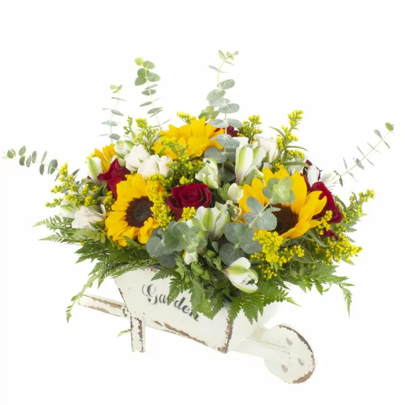 Carretilla de Girasoles - arreglo floral en carretilla de madera con girasoles, solidago, rosas ecuatorianas, leucadendros y astromelias