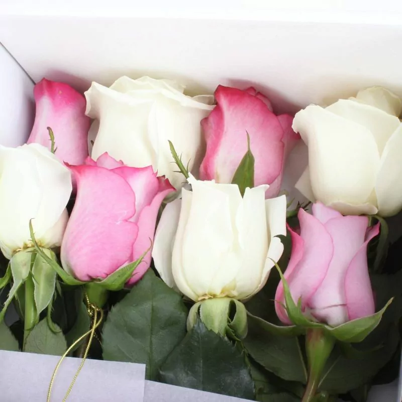Foto 3 Pack FlowerBox Día de la Madre - Caja con 8 rosas mix lila y blanco, Ferrero Rocher corazón 100g y globo Feliz día Mamá