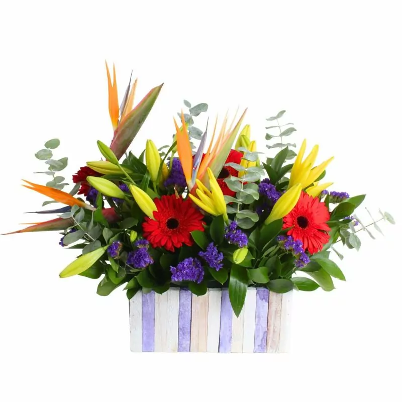 Abril en canasto - Arreglo floral con gerberas rojas, liliums amarillos, aves del paraíso y statice morado