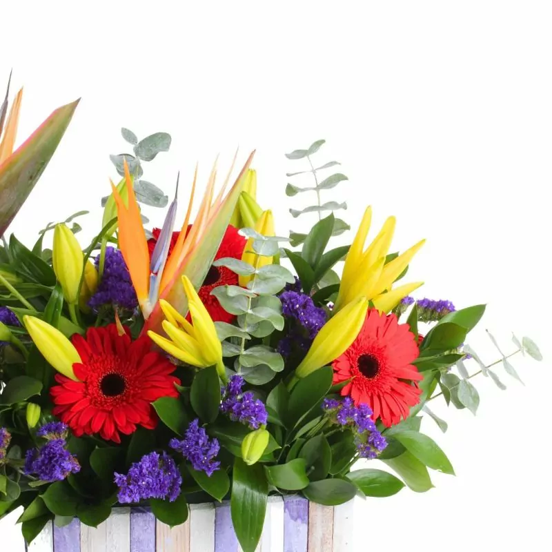 Foto 4 Abril en canasto - Arreglo floral con gerberas rojas, liliums amarillos, aves del paraíso y statice morado
