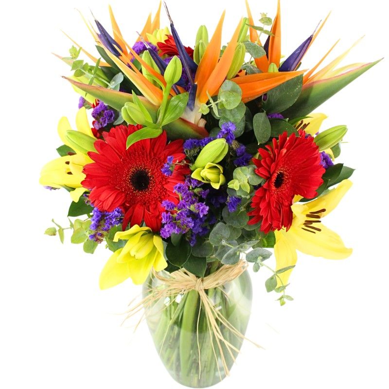 Abril en Florero - Arreglo floral en florero con gerberas rojas, liliums amarillos, aves del paraíso y statice morado Abril en Florero - Arreglo floral en florero con gerberas rojas, liliums amarillos, aves del paraíso y statice morado