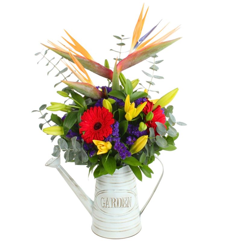 Abril en Regadera - Arreglo floral con gerberas rojas, liliums amarillos, aves del paraíso y statice morado Abril en Regadera - Arreglo floral con gerberas rojas, liliums amarillos, aves del paraíso y statice morado