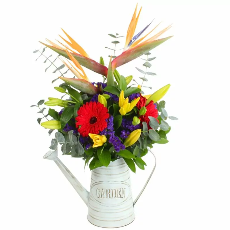 Abril en Regadera - Arreglo floral con gerberas rojas, liliums amarillos, aves del paraíso y statice morado