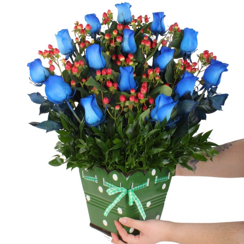 Foto con persona Jardín de Rosas Azul - Flores a domicilio Foto con persona Jardín de Rosas Azul - Flores a domicilio